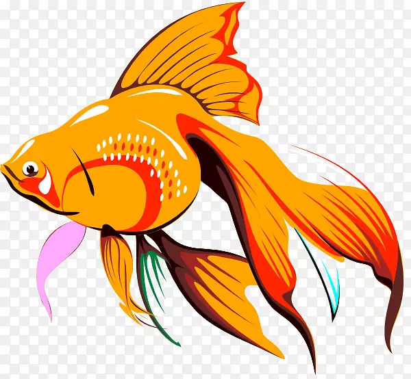 金鱼画夹艺术-鱼