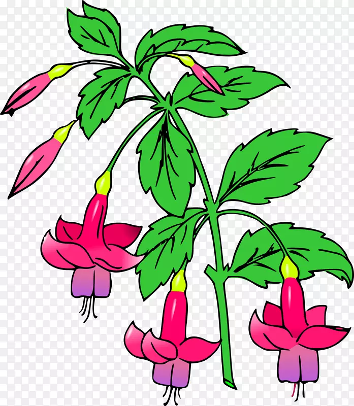 紫红色花卉设计剪贴画-紫红色花