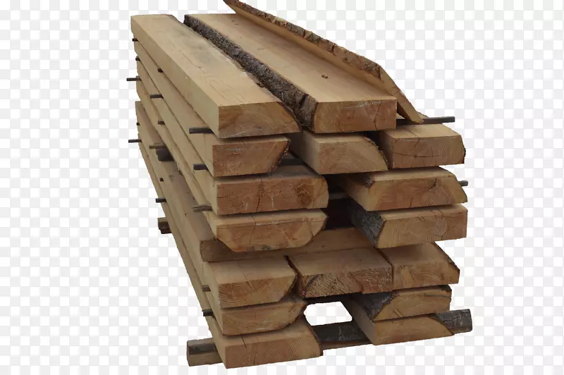 木材树干乔迪吉里贝特，福斯塔树皮-木材