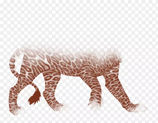 老虎长颈鹿猫陆生动物野生动物-老虎