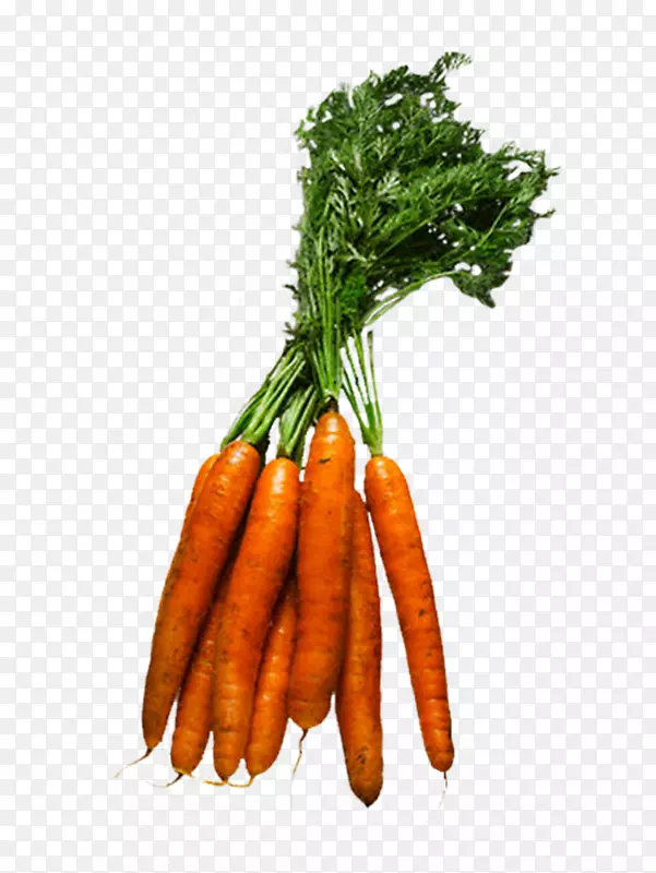 小胡萝卜叶蔬菜素食食品-蔬菜