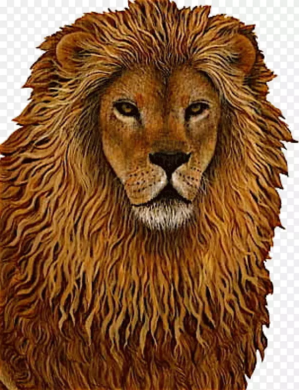 狮子、老虎和熊墙上贴有壁画的老虎