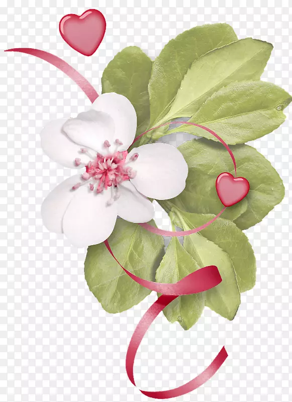 数码剪贴本花卉设计剪贴夹艺术-花卉
