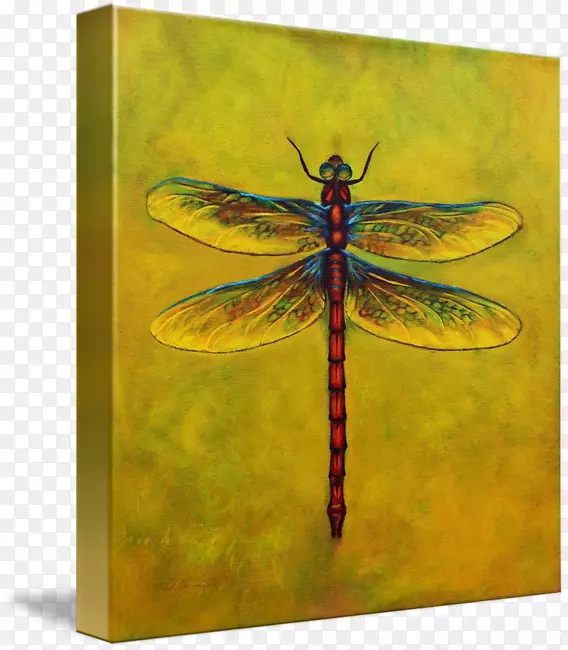 蜻蜓昆虫画廊包帆布艺术-蜻蜓