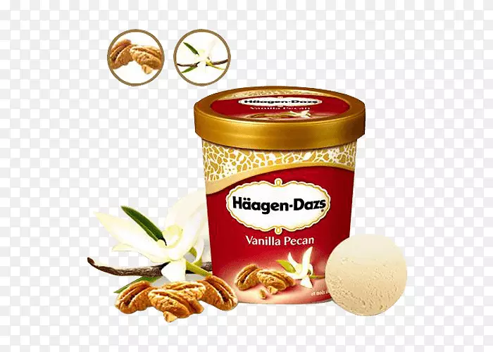 冰淇淋比萨饼素食料理Hagen-Dazs-冰淇淋