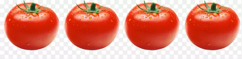 李子番茄食品灌木番茄玛拉格塔胡椒-番茄酱