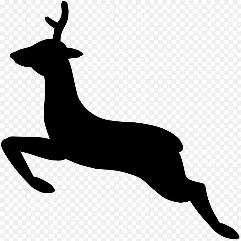白尾鹿剪影剪艺术鹿