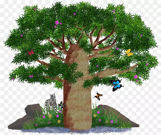 生物群落盆景枝-非洲树