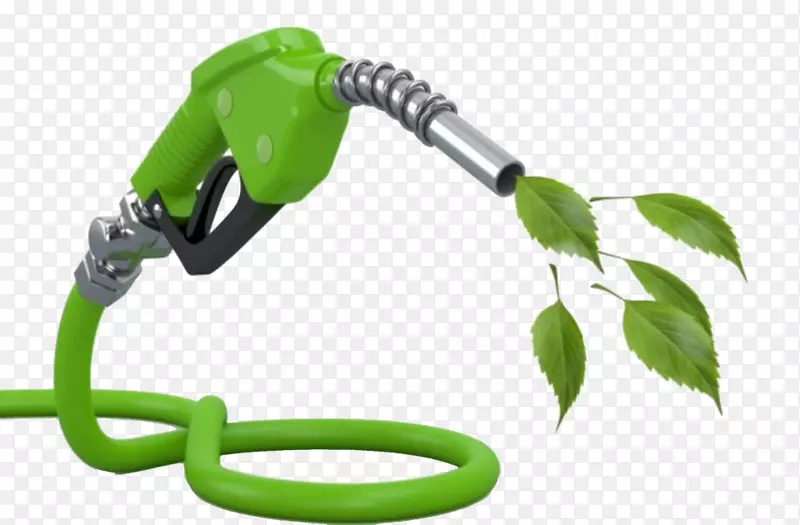 生物燃料可再生能源生物柴油能源开发生物燃料