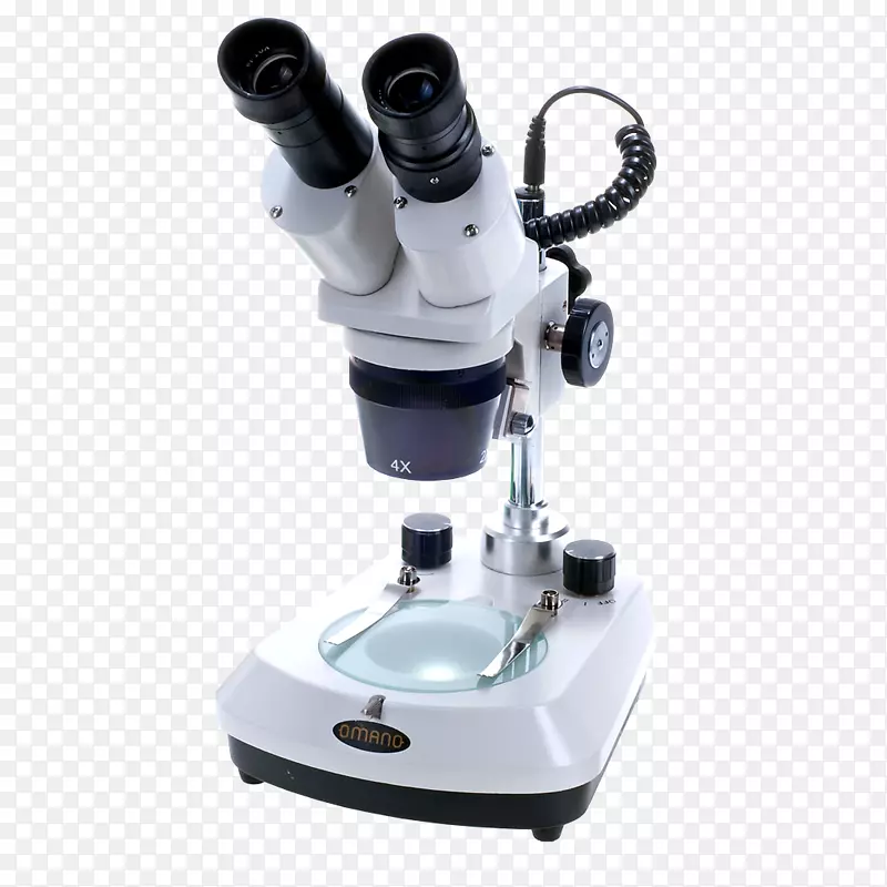 立体显微镜光学显微镜聚焦显微镜