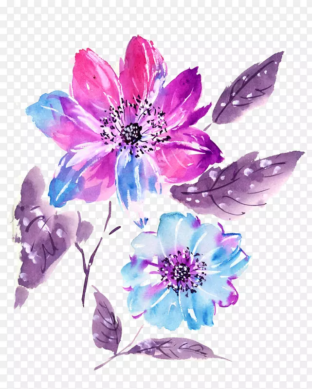 紫薰衣草花