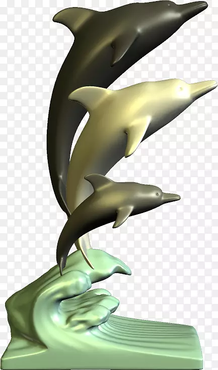 图库溪短喙普通海豚普通宽吻海豚博客-米色