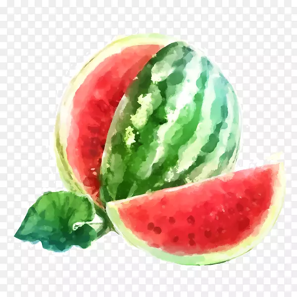 西瓜小枝水果水彩画免版税西瓜