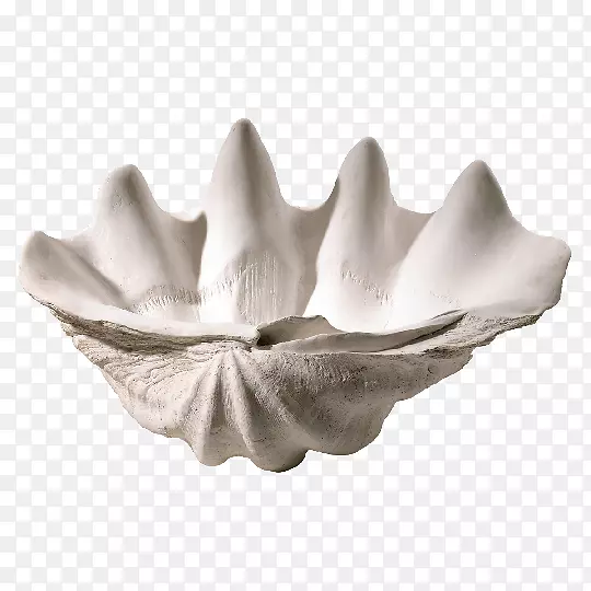 巨型蛤蜊碗贝壳牡蛎