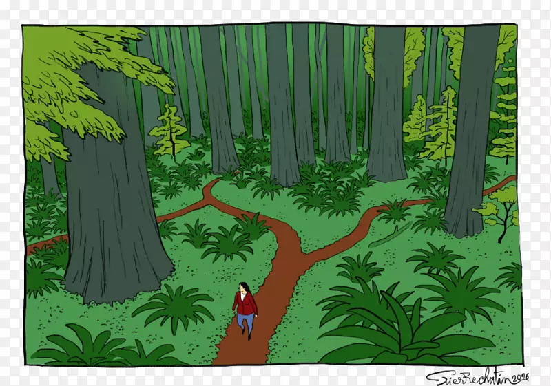 生物群落热带雨林动物群植被-森林步行
