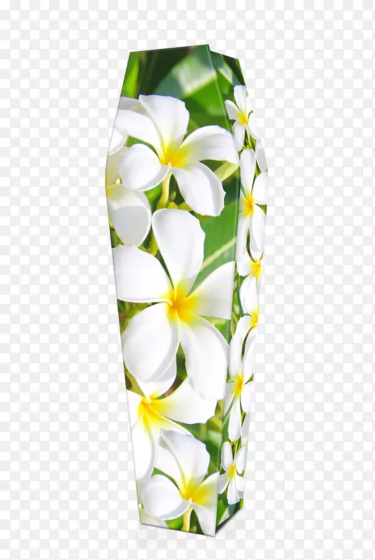 切花弗兰基帕尼棺材花卉设计