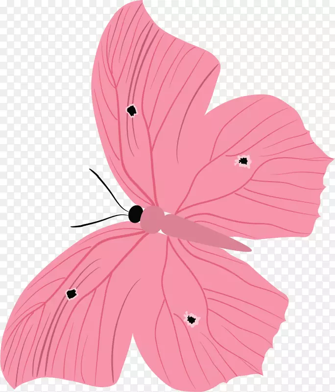 蝴蝶花瓣