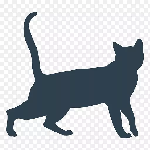 黑猫家养短毛猫波斯猫英国速记猫