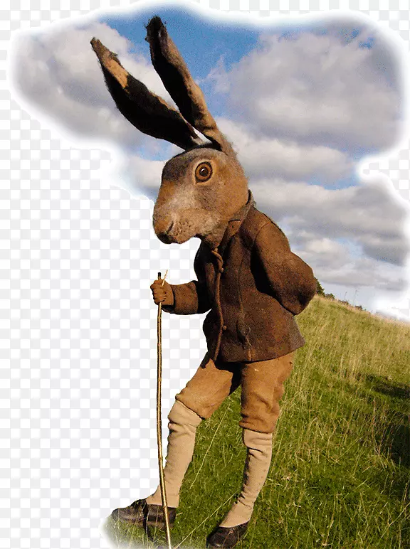 野兔动物艺术家-兔子