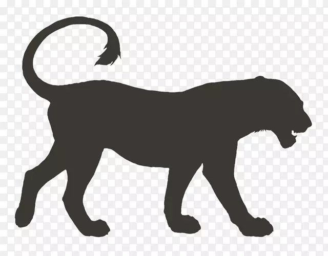 爱琴海猫猎豹小狮子