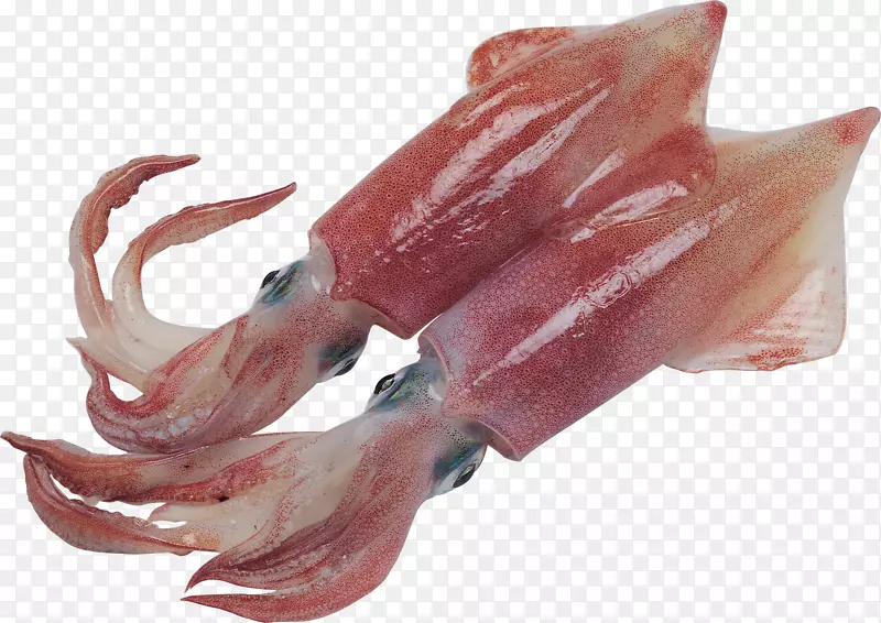 鱿鱼作为食用鱼油酸麦加-3-鱼