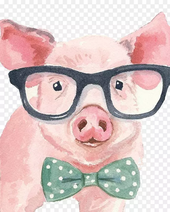 小型猪画布-猪