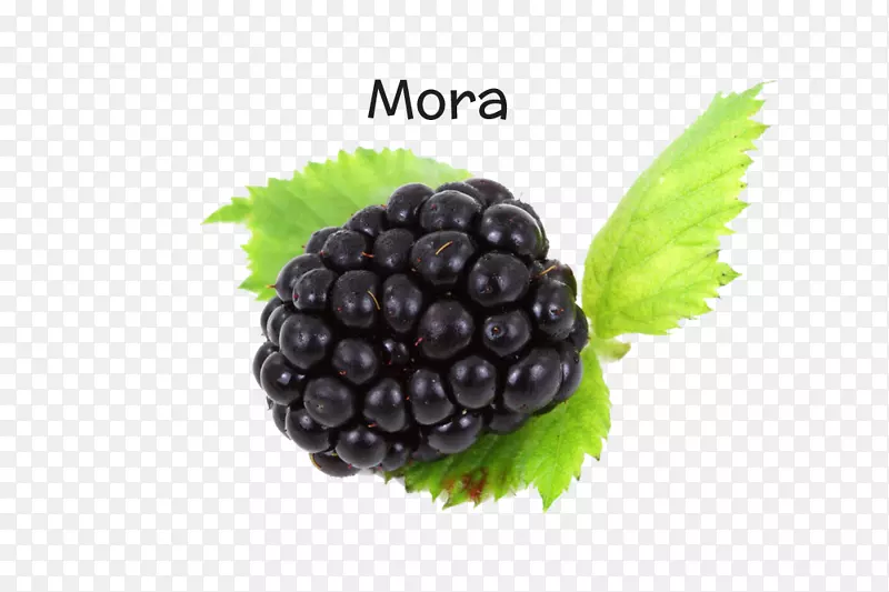 黑莓水果阿莫拉图像分辨率-黑莓