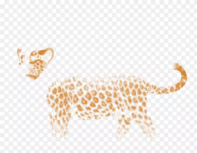 豹科狮子猎豹长颈鹿-豹
