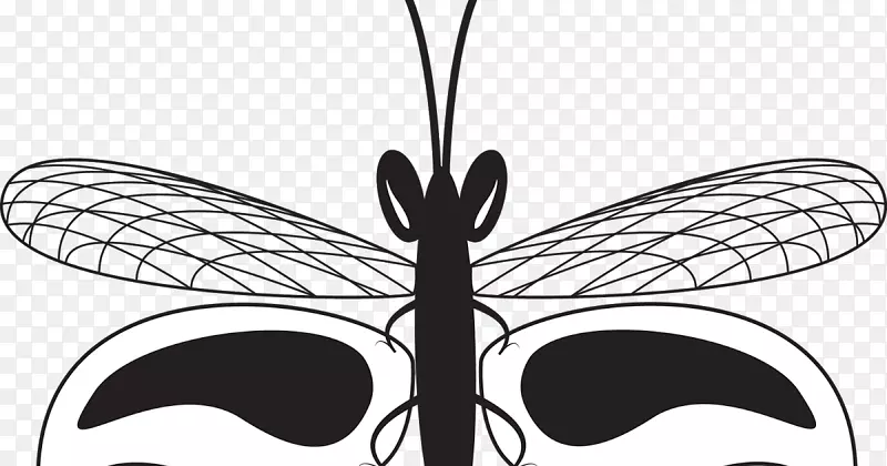 蝴蝶昆虫画节肢动物夹艺术-蝴蝶