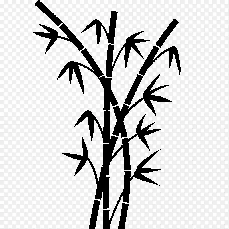 班布画热带木本竹子植物茎
