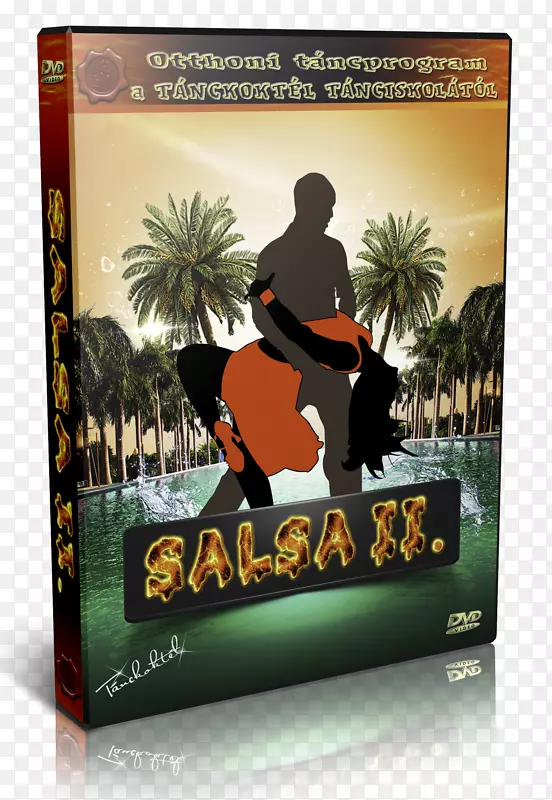 DVD舞蹈萨尔萨光盘加勒比-dvd