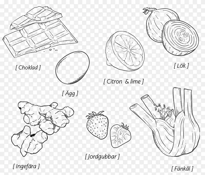 纸脊椎动物线条艺术手指素描-Tomat