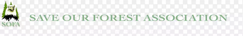 品牌标识睫毛字体-拯救森林