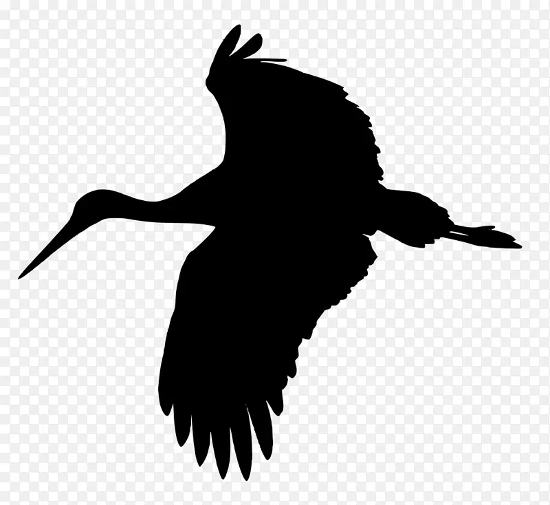 白鹳鹤鹭鸟夹艺术鹤