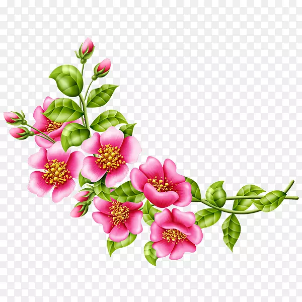花卉设计花园玫瑰剪贴画-花