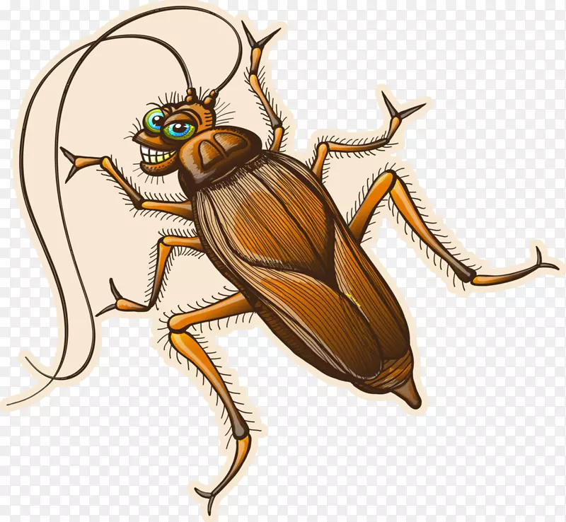 蟑螂害虫绘图-蟑螂