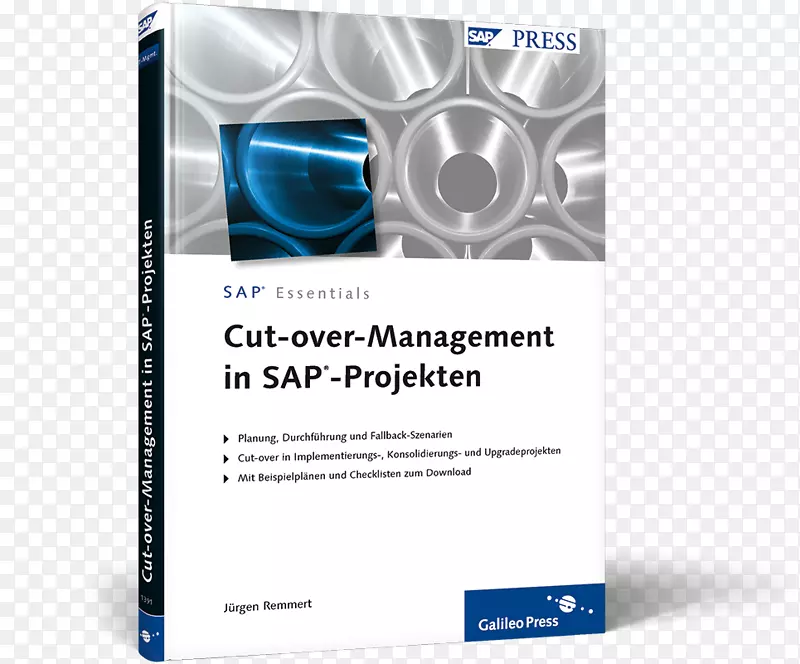 SAP-Projekten项目管理书中的裁剪管理