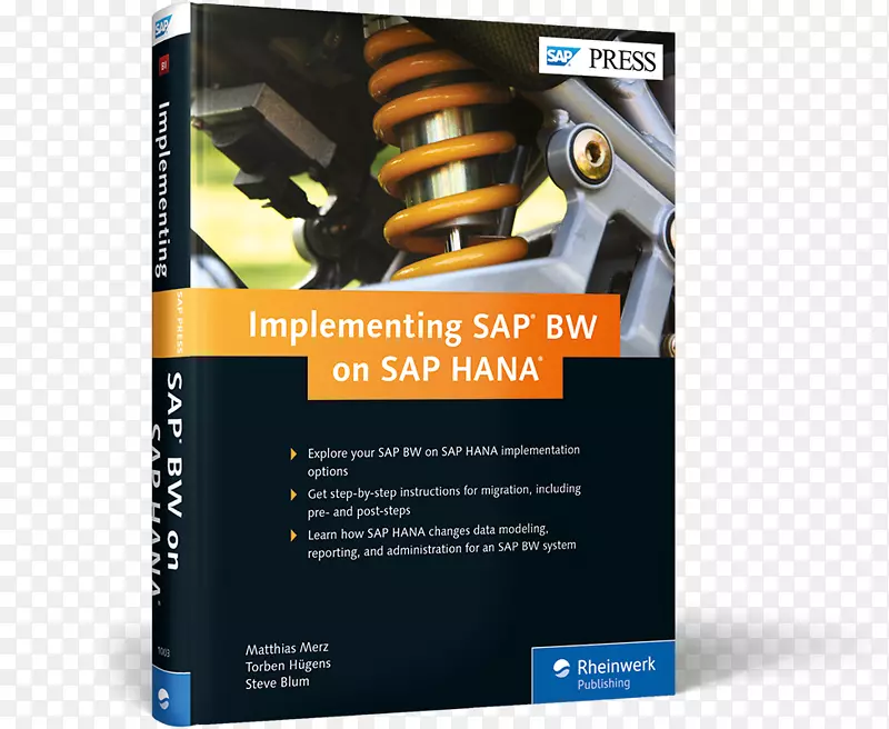 SAP Hana sap NetWeaver商业仓库sap se实施sap erp-印刷机
