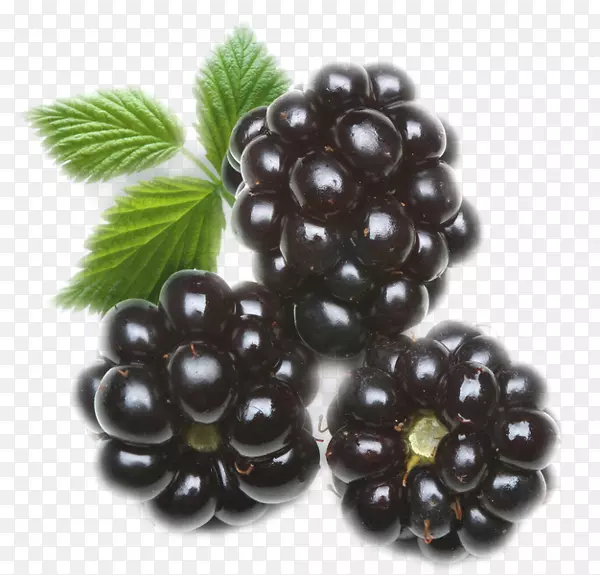 黑莓有机食品，糖果，果汁，露珠-黑莓