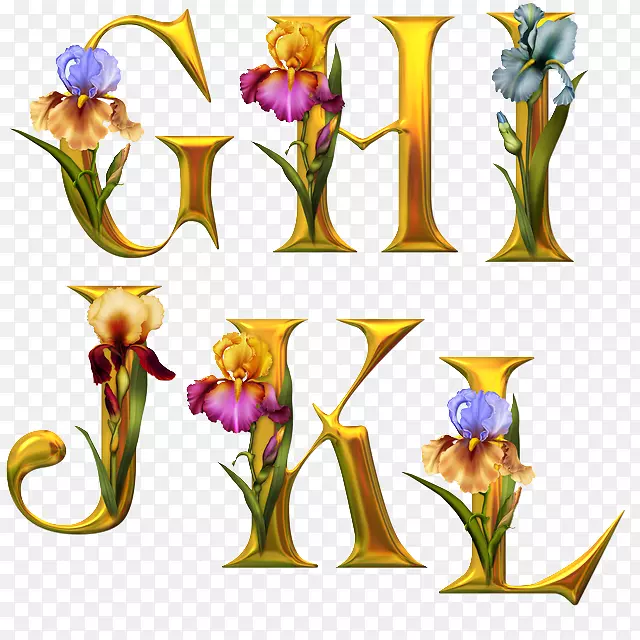 花卉设计字母表花呈现-花