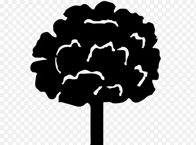 白色黑色m字型-榆树