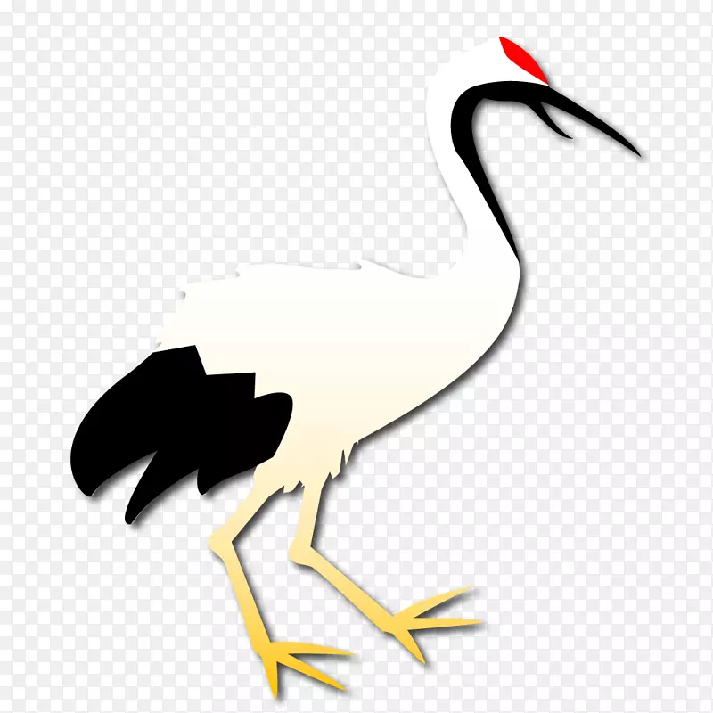 海鸟喙鹳夹艺术鸟