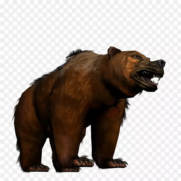 灰熊阿拉斯加半岛棕熊陆地动物野生动物-熊