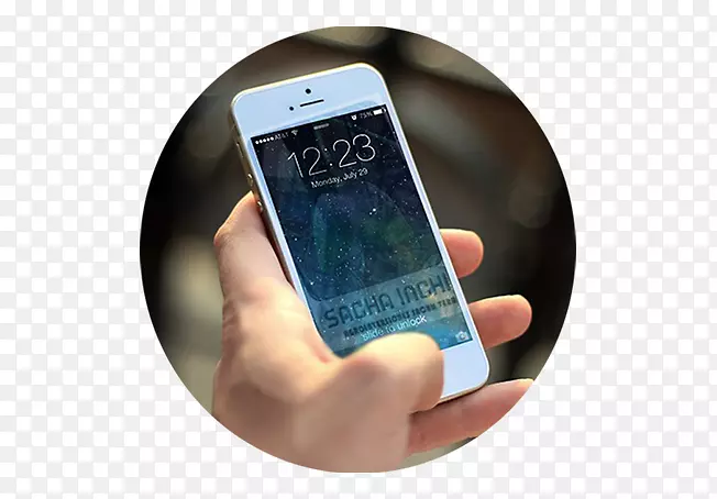 iPhone移动应用程序开发账单休克业务-Sacha inchi