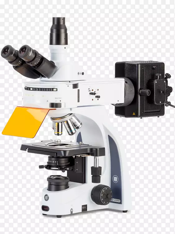 荧光显微镜荧光显微镜