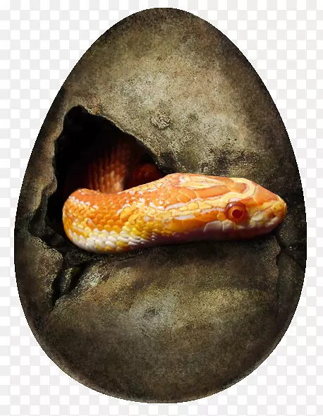 蛇复活节彩蛋画