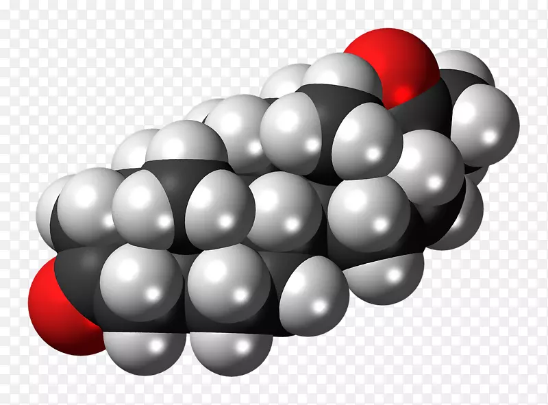 孕酮分子类固醇皮质醇填充模型-体重指数