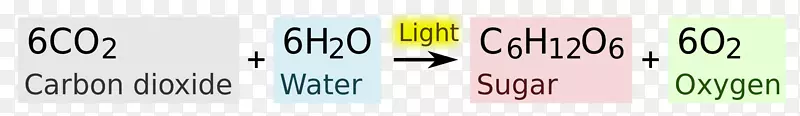 光合作用光平衡方程植物-光合作用