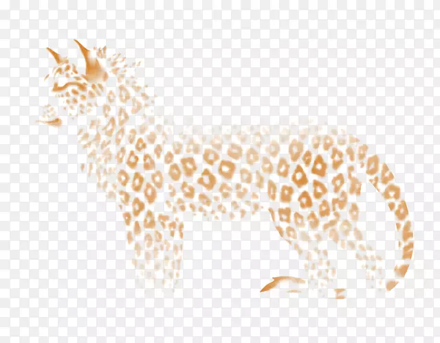长颈鹿猫陆地动物长颈鹿