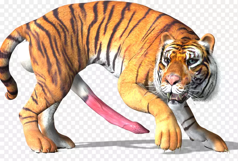 老虎大猫野生动物-老虎3D